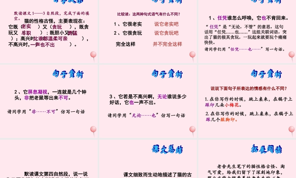 四年级语文上册 第四组 15《猫》课堂教学课件2 新人教版-新人教版小学四年级上册语文课件