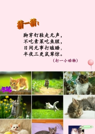 四年级语文上册 第四组 15《猫》课堂教学课件2 新人教版-新人教版小学四年级上册语文课件