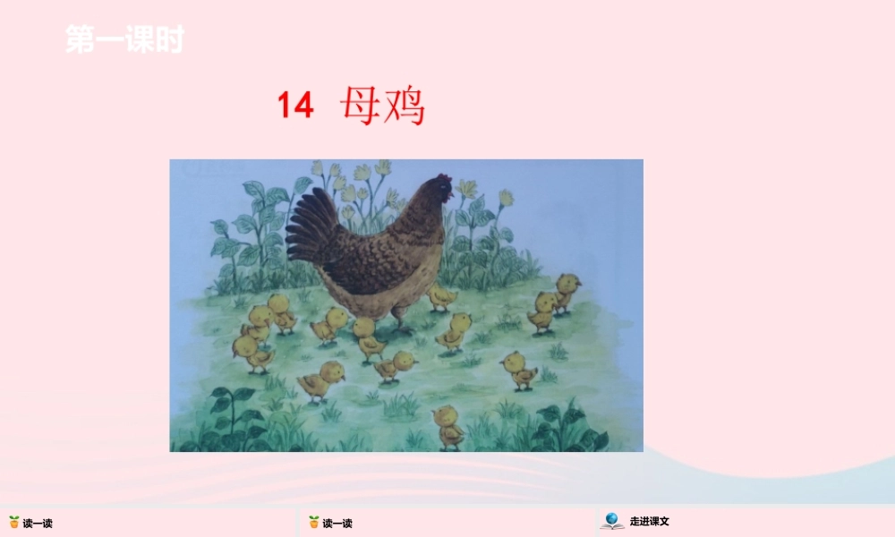 四年级语文下册 第4单元 14母鸡课件 新人教版-新人教版小学四年级下册语文课件