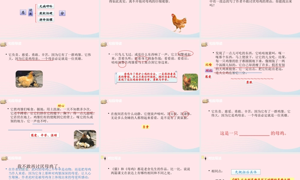 四年级语文下册 第4单元 14母鸡课件 新人教版-新人教版小学四年级下册语文课件