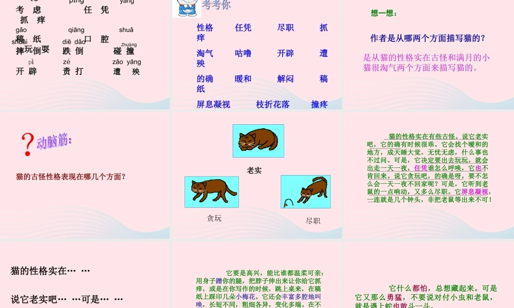 四年级语文上册 第四组 15《猫》课堂教学课件3 新人教版-新人教版小学四年级上册语文课件