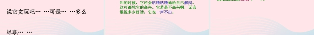 四年级语文上册 第四组 15《猫》课堂教学课件3 新人教版-新人教版小学四年级上册语文课件