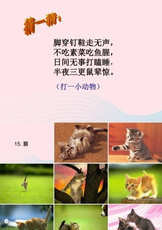 四年级语文上册 第四组 15《猫》课堂教学课件3 新人教版-新人教版小学四年级上册语文课件