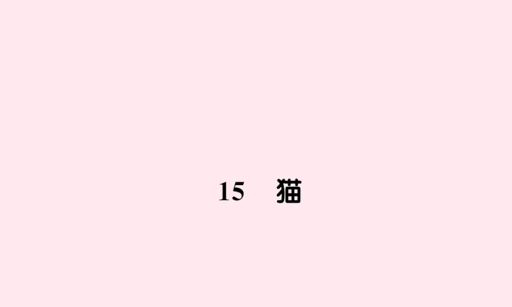 四年级语文上册 第四组 15猫习题课件 新人教版-新人教版小学四年级上册语文课件