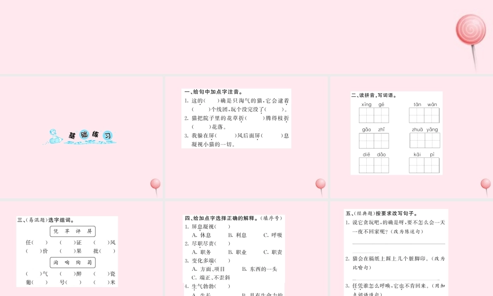 四年级语文上册 第四组 15猫习题课件 新人教版-新人教版小学四年级上册语文课件