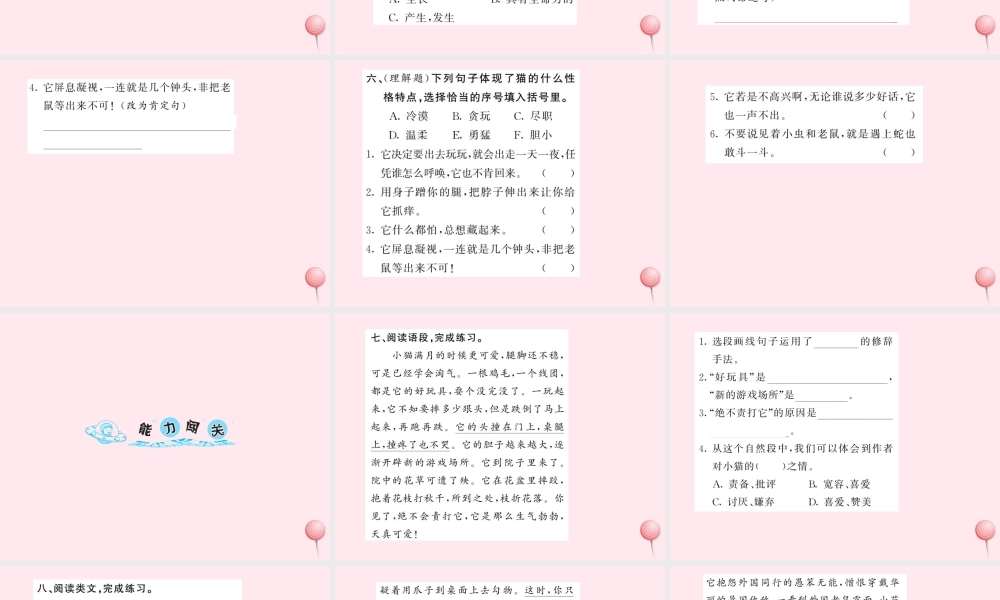 四年级语文上册 第四组 15猫习题课件 新人教版-新人教版小学四年级上册语文课件