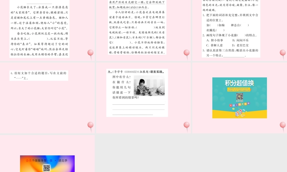 四年级语文上册 第四组 15猫习题课件 新人教版-新人教版小学四年级上册语文课件