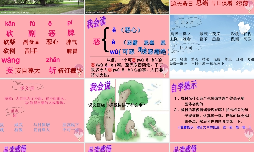 四年级语文上册 第七单元 一棵橡树课件1 西师大版-西师大版小学四年级上册语文课件