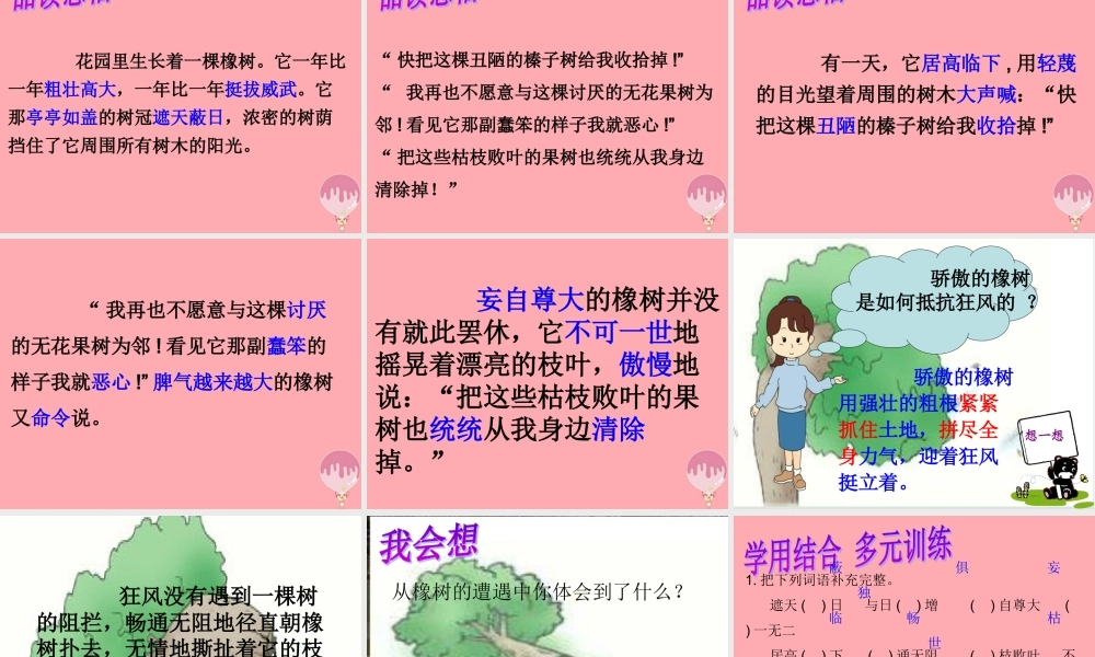 四年级语文上册 第七单元 一棵橡树课件1 西师大版-西师大版小学四年级上册语文课件