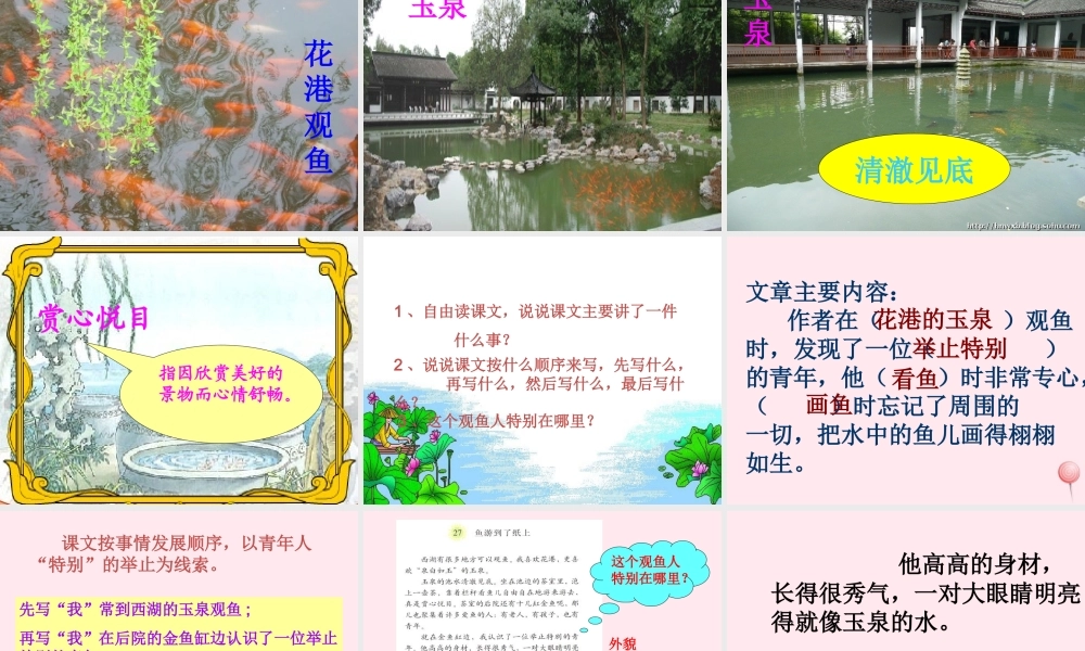 四年级语文上册 第八单元 31《鱼游到了纸上》名优课件 鲁教版-鲁教版小学四年级上册语文课件