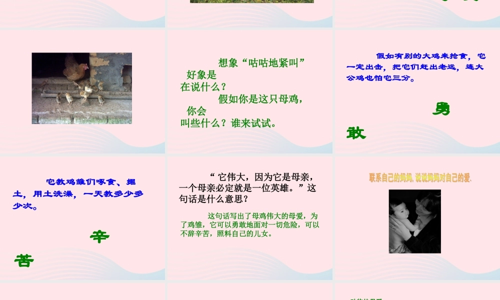 四年级语文上册 第四组 16 母鸡课件 新人教版-新人教版小学四年级上册语文课件