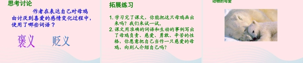 四年级语文上册 第四组 16 母鸡课件 新人教版-新人教版小学四年级上册语文课件