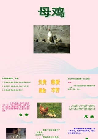 四年级语文上册 第四组 16 母鸡课件 新人教版-新人教版小学四年级上册语文课件