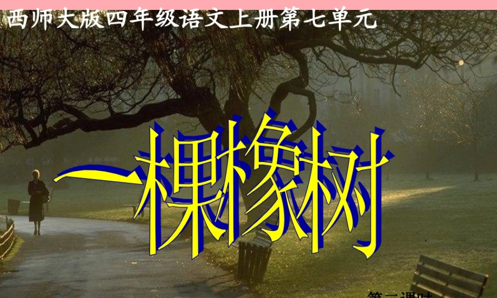 四年级语文上册 第七单元 一棵橡树课件2 西师大版-西师大版小学四年级上册语文课件