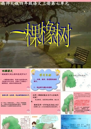 四年级语文上册 第七单元 一棵橡树课件2 西师大版-西师大版小学四年级上册语文课件