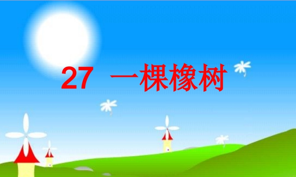 四年级语文上册 第七单元 一棵橡树课件3 西师大版-西师大版小学四年级上册语文课件