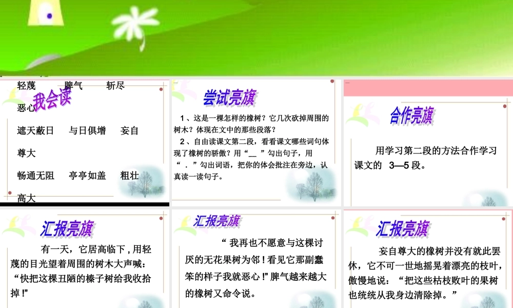 四年级语文上册 第七单元 一棵橡树课件3 西师大版-西师大版小学四年级上册语文课件