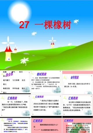四年级语文上册 第七单元 一棵橡树课件3 西师大版-西师大版小学四年级上册语文课件
