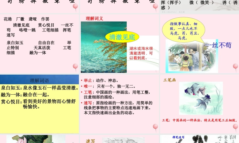 四年级语文上册 第八单元 31《鱼游到了纸上》优培课件 鲁教版-鲁教版小学四年级上册语文课件