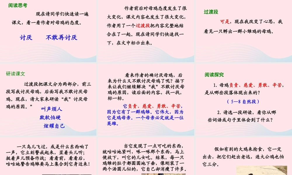 四年级语文上册 第四组 16《母鸡》课堂教学课件1 新人教版-新人教版小学四年级上册语文课件