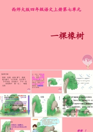 四年级语文上册 第七单元 一棵橡树课件4 西师大版-西师大版小学四年级上册语文课件