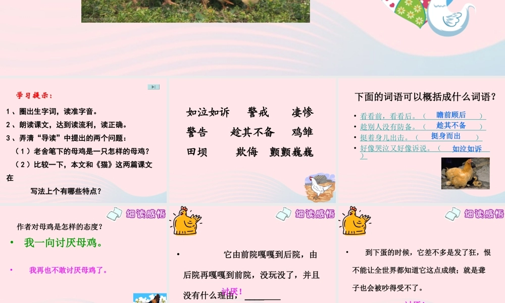 四年级语文上册 第四组 16《母鸡》课堂教学课件2 新人教版-新人教版小学四年级上册语文课件
