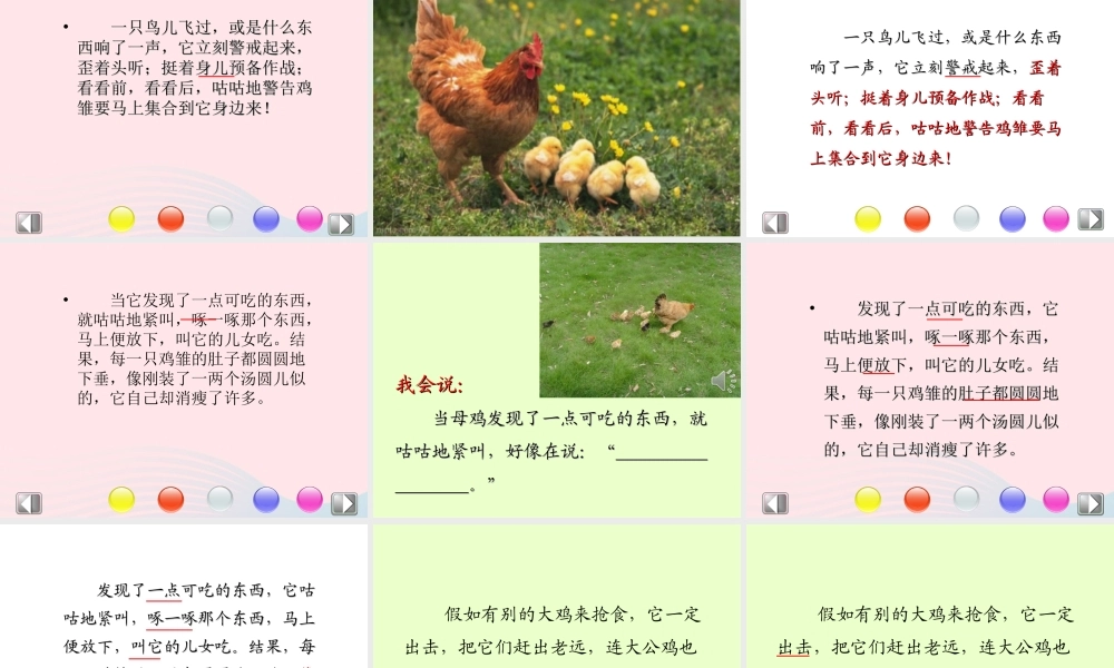 四年级语文上册 第四组 16《母鸡》课堂教学课件2 新人教版-新人教版小学四年级上册语文课件