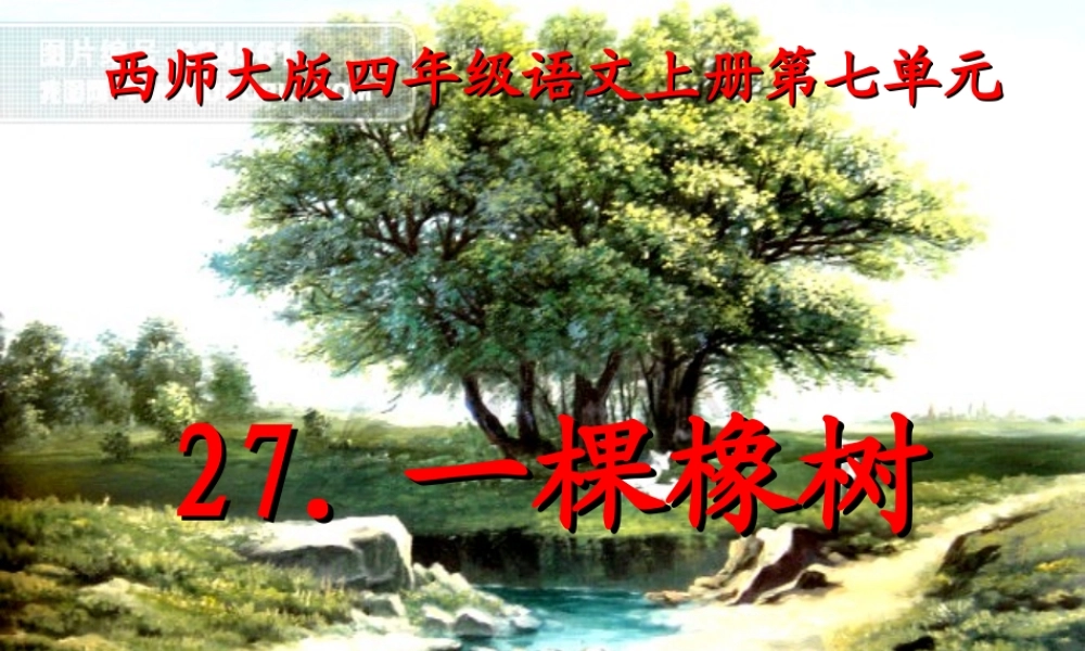 四年级语文上册 第七单元 一棵橡树课件5 西师大版-西师大版小学四年级上册语文课件