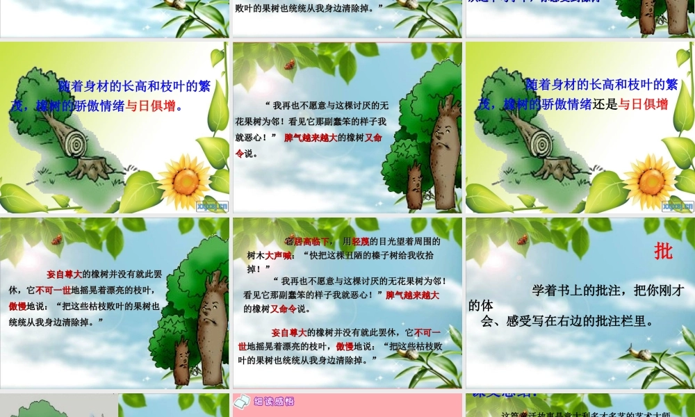 四年级语文上册 第七单元 一棵橡树课件5 西师大版-西师大版小学四年级上册语文课件