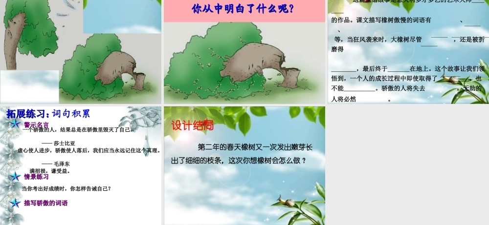 四年级语文上册 第七单元 一棵橡树课件5 西师大版-西师大版小学四年级上册语文课件