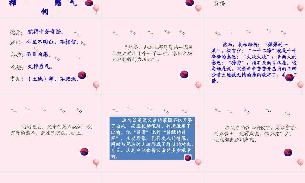 四年级语文上册 第八单元 32《父亲的菜园》精品课件 鲁教版-鲁教版小学四年级上册语文课件