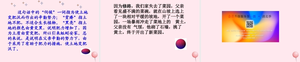 四年级语文上册 第八单元 32《父亲的菜园》精品课件 鲁教版-鲁教版小学四年级上册语文课件