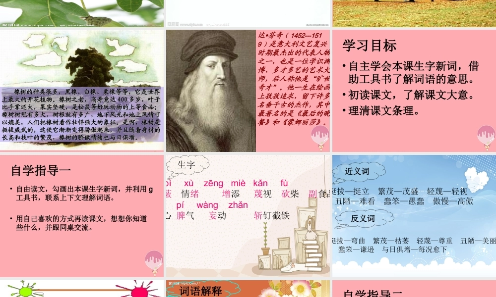 四年级语文上册 第七单元 一棵橡树课件6 西师大版-西师大版小学四年级上册语文课件