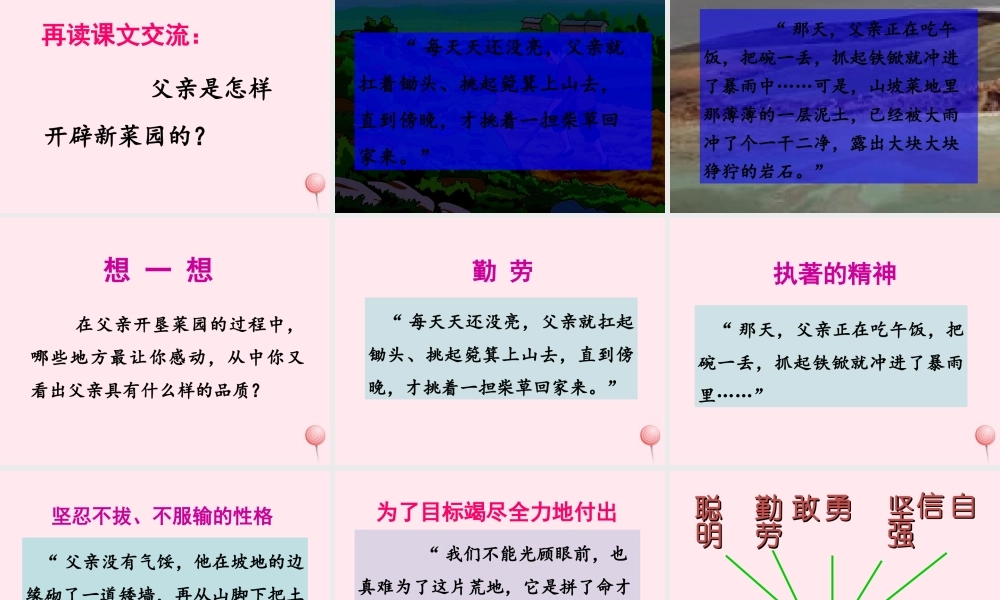 四年级语文上册 第八单元 32《父亲的菜园》优培课件 鲁教版-鲁教版小学四年级上册语文课件