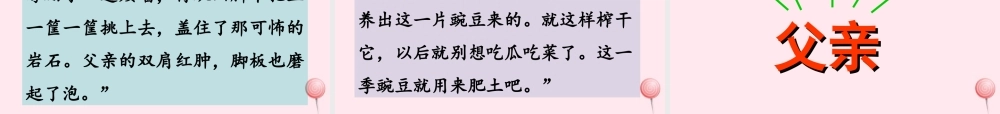 四年级语文上册 第八单元 32《父亲的菜园》优培课件 鲁教版-鲁教版小学四年级上册语文课件
