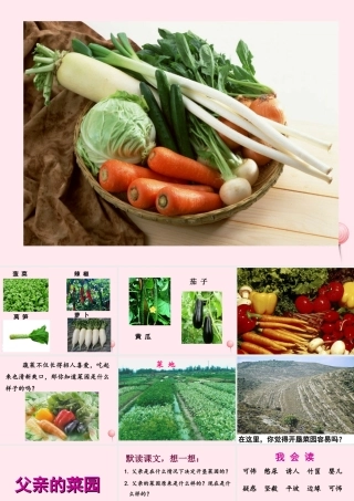 四年级语文上册 第八单元 32《父亲的菜园》优培课件 鲁教版-鲁教版小学四年级上册语文课件