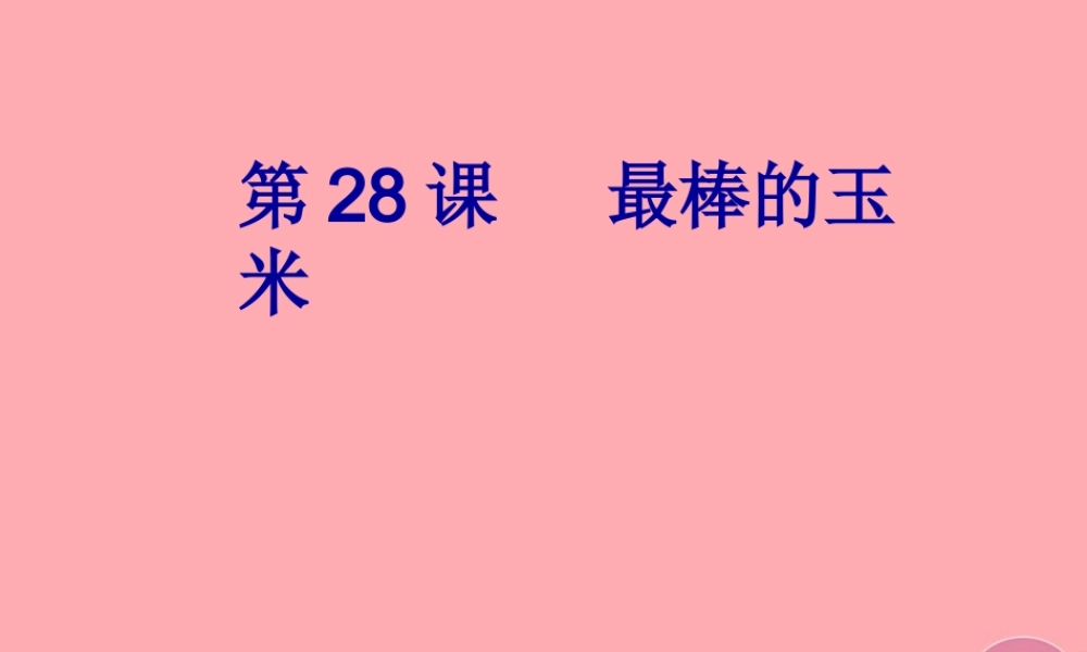 四年级语文上册 第七单元 最棒的玉米课件1 西师大版-西师大版小学四年级上册语文课件