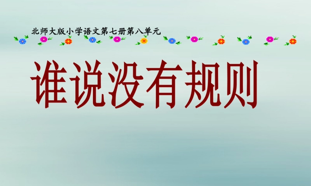 四年级语文上册 第八单元 规则 16 谁说没有规则教学课件 北师大版-北师大版小学四年级上册语文课件