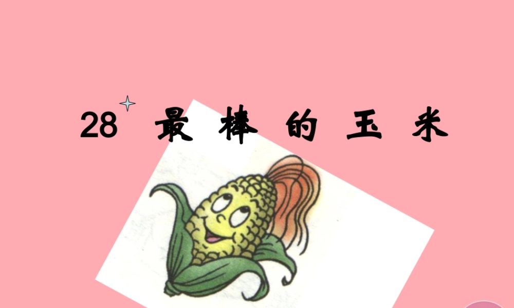 四年级语文上册 第七单元 最棒的玉米课件2 西师大版-西师大版小学四年级上册语文课件