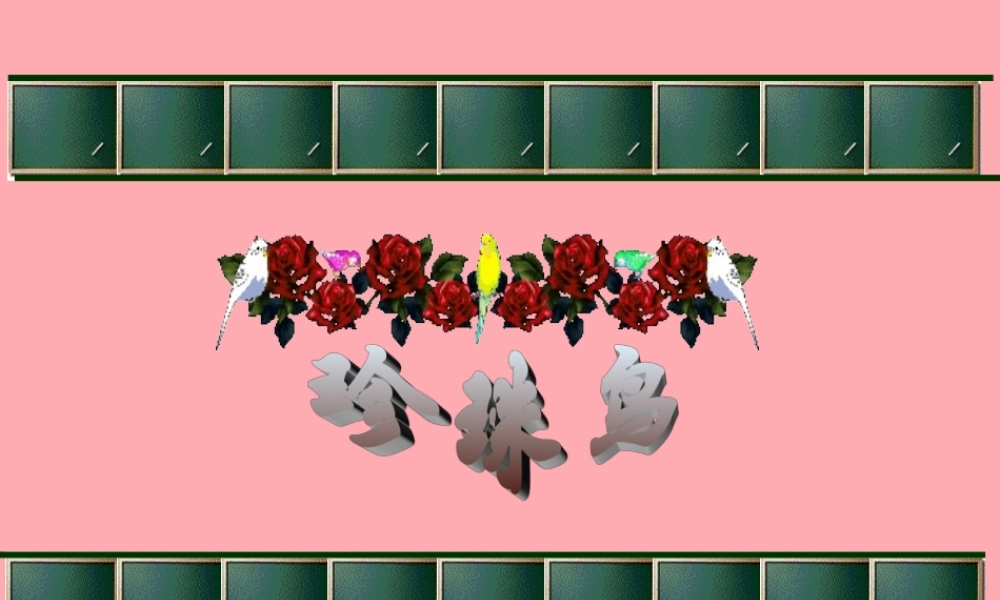 四年级语文上册 第珍珠鸟课件 苏教版-苏教级上册语文课件