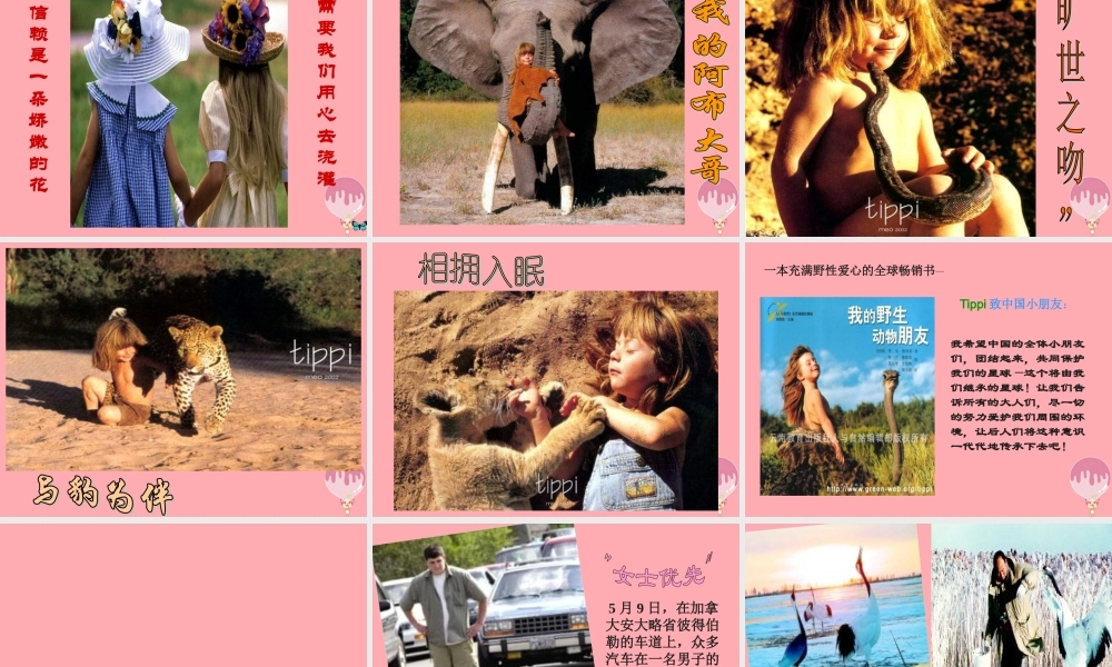 四年级语文上册 第珍珠鸟课件 苏教版-苏教级上册语文课件