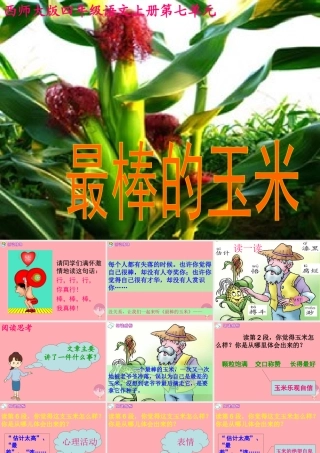 四年级语文上册 第七单元 最棒的玉米课件3 西师大版-西师大版小学四年级上册语文课件