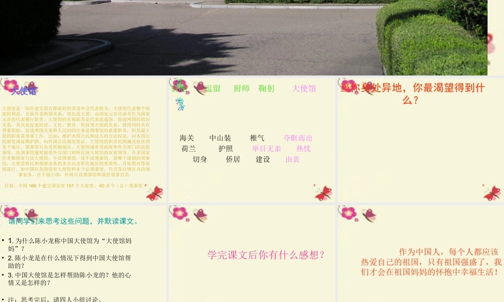 四年级语文下册 第4单元 16《大使馆妈妈》课件6 语文S版-语文S版小学四年级下册语文课件