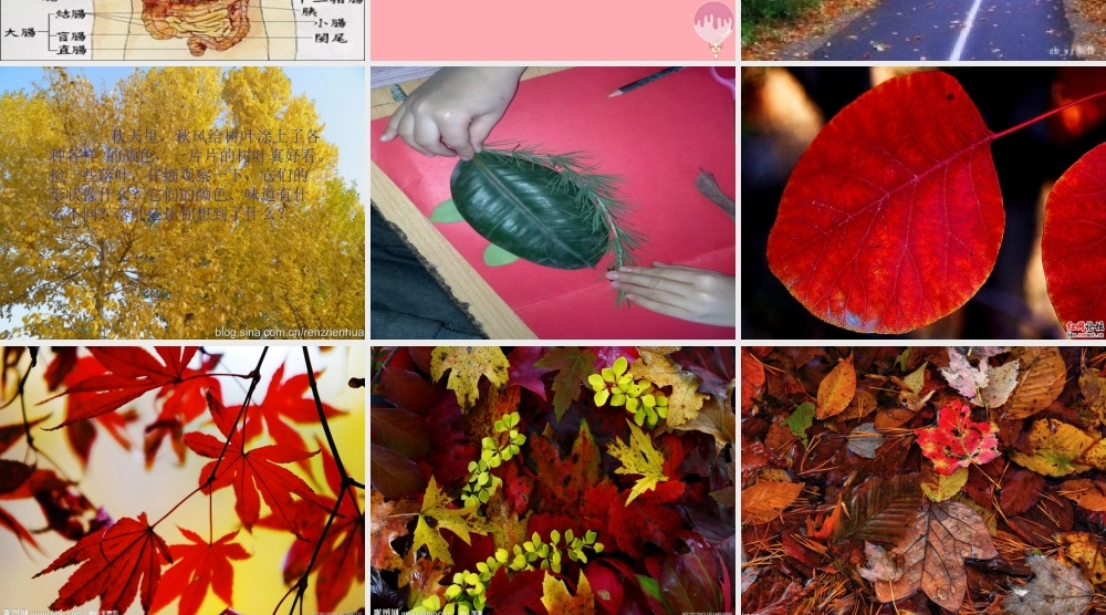 四年级语文上册 语文乐园（四）课件1 鄂教版-鄂教版小学四年级上册语文课件