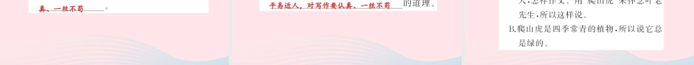 四年级语文上册 第七组 26 那片绿绿的爬山虎习题课件 新人教版-新人教版小学四年级上册语文课件