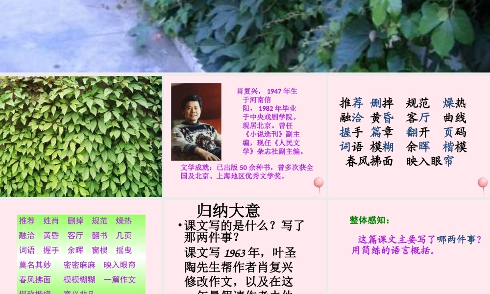 四年级语文上册 第七组 26《那片绿绿的爬山虎》课堂教学课件1 新人教版-新人教版小学四年级上册语文课件