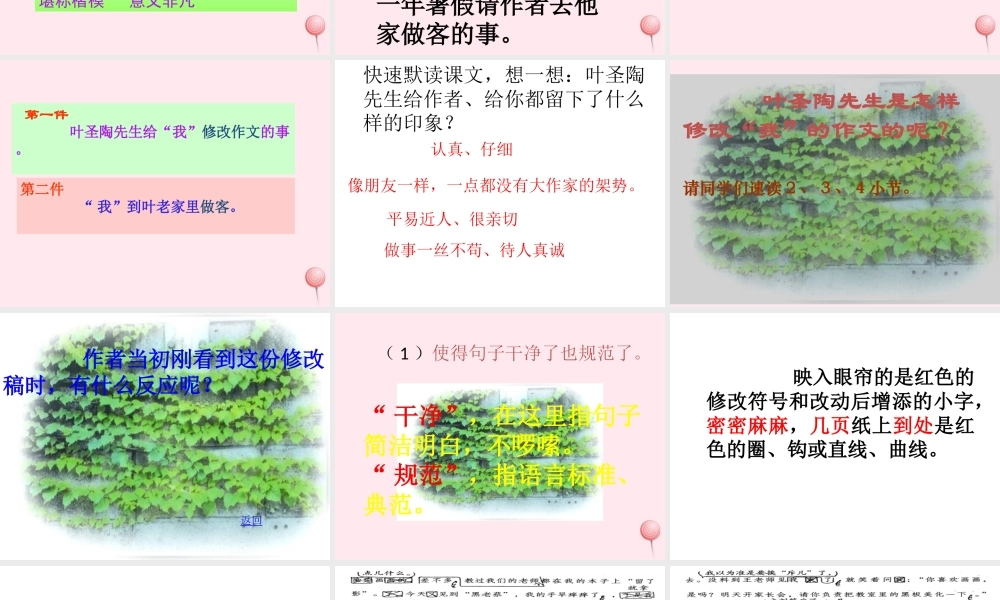 四年级语文上册 第七组 26《那片绿绿的爬山虎》课堂教学课件1 新人教版-新人教版小学四年级上册语文课件