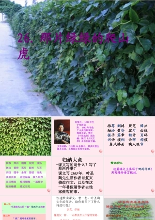四年级语文上册 第七组 26《那片绿绿的爬山虎》课堂教学课件1 新人教版-新人教版小学四年级上册语文课件