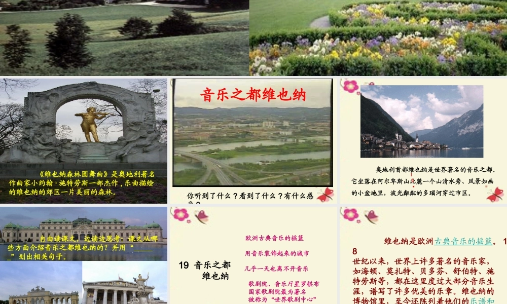 四年级语文下册 第4单元 19《音乐之都维也纳》课件1 沪教版-沪教版小学四年级下册语文课件