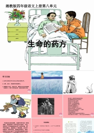 四年级语文上册 第八单元 生命的药方课件2 湘教版-湘教版小学四年级上册语文课件